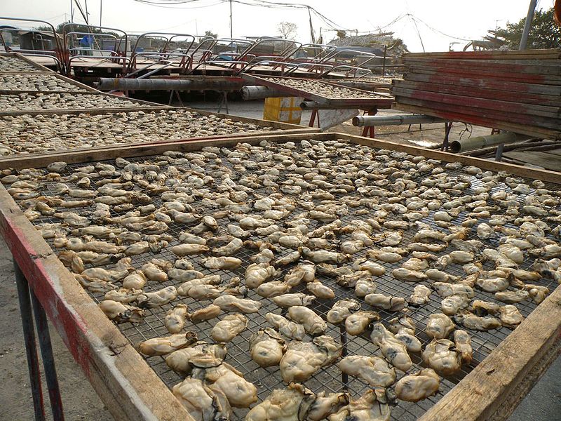 File:Dry oyster, Lau Fau Shan 2012.JPG