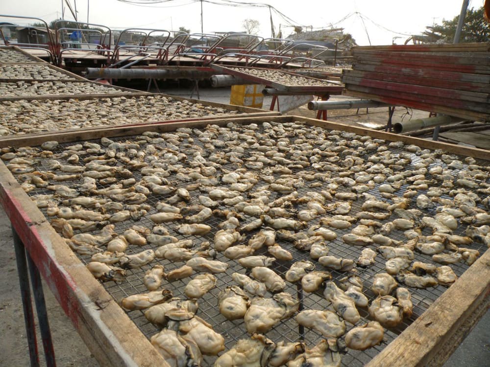 Lau Fau Shan dried oysters