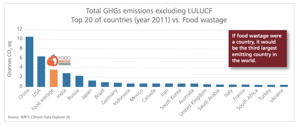 Food waste by country